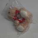 Teddy Bear with Picture Frame