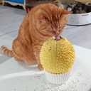 Catnip Feeder and Self Grooming Toys - Cat Face Scratcher, Wall Corner Massage Comb for Indoor Cats (yellow)