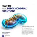 2 x Bossko Methylene Blue 1% Solution 99.99% Pure Pharmaceutical Grade with B12 & Magnesium | Brain & Cellular Support | Third-Party Tested Dietary Supplement Drops 60ml