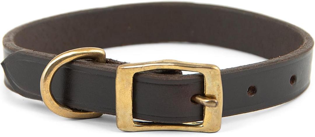 Jeffers Heavy Duty Flat Latigo Leather Dog Collar with Solid Brass Hardware, Adjustable Secure Fit for Dogs, Safe Chestnut Collar for Walking, Training & Outdoor Pet Accessories - 1" x 19"