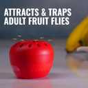 4 x Terro Fruit Fly Traps for Indoors (6 Pack) + 270 Days of Lure Supply