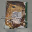 Funny Graphic Capybara T-Shirt, L