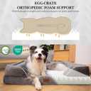 Comfort Expression Orthopedic Dog Bed for Extra Large Dogs 42x30 Inch, Waterproof Egg Crate Foam XL Pet Bed with Removable Bolsters, Dog Couch with Washable Cover & Non-Slip Bottom, Grey