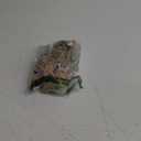 Marvel Series 1.0 3 Pack