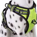 PoyPet No Pull Dog Harness, Reflective Comfortable Vest Harness with Front & Back 2 Leash Attachments and Easy Control Handle Adjustable Soft Padded Pet Vest for Small to Large Dogs (Green,L)