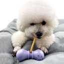 BoniVet Bully Stick Holder for Dogs, Chew Holder, Prevent Choking Safety Device (Purple, Small)