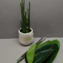 Bird of Paradise Artificial Plant with White Planter, 5FT Tall Fake Tropical Tree Large Fake Plants with 10 Trunks, Faux Plant Indoor Decor Trees for Home Living Room Office Decor