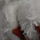 Checkered Rug 8x10 for Living Room, Modern Rainbow Shag Rug Washable Non-Slip Large Area Rug Super Soft Indoor Fuzzy Carpet Fluffy Rugs for Bedroom Home Aesthetic Decor