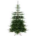 7 Feet Hinged Artificial Pre-lit Christmas Tree with 1303 Branch Tips - Color: Green - Size: 7 ft