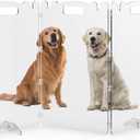 Clear Acrylic Dog Pet Gate - 99% Transparency Gentle Bond Seamlessly with Home - 32in Tall Foldable Freestanding No-Drill Tool-Free Assembly - for Small to Large Dogs Cats Indoor Stairs Doorways