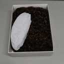 HUA Kinky Curly Short Wigs for Black Women Human Hair Chocolate Brown Mix Medium Auburn Curly Human Hair Wigs for Black Women Glueless 4/30 Color Short Wigs for Women (8 Inch)