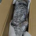 JIHAQUA Aquarium Resin Bark Terrarium Decor, Lizard, Snake or Reptile Hide,Lizard, Spider and Aquarium Fish Hide Cave (Medium Bark A)