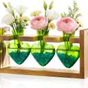2+1 Plant Terrarium Plant Propagation Station Birthday Gifts for Women Home Office Decor with Wooden Stand