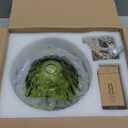 Vintage Pendant Light,Green Glass Light Fixtures,11 inch E26 Flower Pendant Lights Adjustable Hanging Light for Bedroom Hotel Dining Room 1 Pack