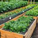4ft x 100ft Weed Barrier Landscape Fabric Heavy Duty Premium Weed Control Fabric Durable & Eco-Friendly Weed Block Gardening Mat Landscaping Fabric