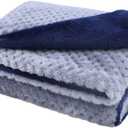furrybaby Premium Fluffy Fleece Dog Blanket, Soft and Warm Pet Throw for Dogs & Cats(40x47inch, Blue) (Double Layer Flannel-blue)