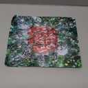 Christmas Cookie Cutters Set of 9 Pieces, Wmtidene Cookie Cutters Shapes for Winter Holiday, Metal includes Christmas Tree,Snowflake,Gingerbread Men,Angel,Star,Mitten,Candy Cane,Snowman