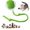 DVHNMK Chewie Viral 360 Smart Automatic Rolling Pet Ball  Interactive Dog & Cat Toy (Green)