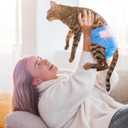 MICOOYO Disposable Cat Diapers, Cat Diapers for Female Cats with Ultra Stretchy, Puppy Diaper Super Absorbent, Fit for Cats in Heat or Incontinence, 51 Count Medium Size
