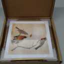 7x7 Picture Frame, Brass Metal Square Photo Frames with HD Glass, Fits 6x6 with Mat or 7 x 7 without Mat, Display for Wall and Table, 1 Pack