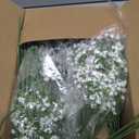 50 Pcs Babys Breath Artificial Flowers, Baby Breath Flowers Artificial Bulk, Real Touch White Fake Flowers, Faux Babies Breath Gypsophila for Wedding Home Decor Floral Arrangement