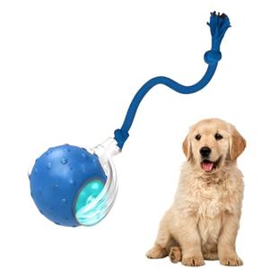 Tiny Fetch Dog Toy - Interactive Dog Toys, 360°Smart Automatic Rolling Electric Dogs Ball Toy with Birdsong, Automatic Obstacle Avoidance, Rechargeable, Boredom Relief for Dogs & Cats (Blue*1 PC)