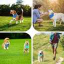 Dog Cooling Bandana  2 Pack Instant Chill Neck Scarf for Dogs, Summer Cooling Collar for Small Medium Large Pets, Reusable Breathable Nylon Ice Bandana for Outdoor Heat Relief (Medium)