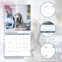 2026-2027 Wall Calendar - Funny Dogs Wall Calendar 2026-2027, Jul. 2026 - Dec. 2027, 12" x 24" (Open), 18-Month Calendar, Dog Calendar, Unruled Blocks, Thick Paper, Hanging Hole, Holidays