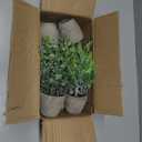 FAVOWREATH 4 Pack Fake Plants Ceramic Mini Artificial Greenery Potted Plants for Home Decor Office Decor Room Decor Farmhouse Decor Indoor Table Bathroom Decor
