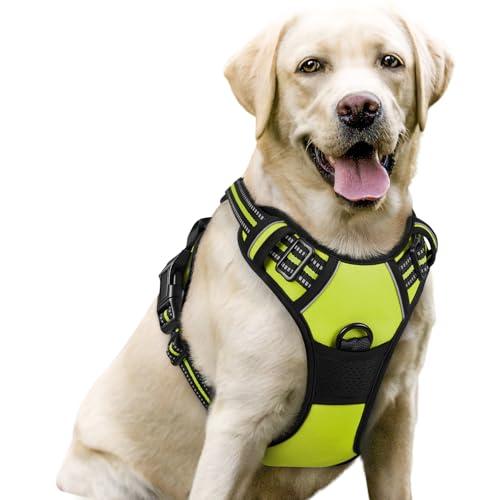 rabbitgoo Dog Harness No Pull with 2 Leash Clips, Adjustable Soft Padded, Reflective Oxford No Choke Pet Vest with Easy Control Handle for Large Dogs, Green, L