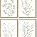 Drsoum Botanical Plant Framed Wall Art Boho Wall Decor for Bathroom Sage Green Eucalyptus Leaf Prints Minimalist Aesthetic Ready to Hang Set of 4, 8x10 in (Natural Framed)
