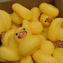 Deekin 24 Pcs Bride and Groom Rubber Ducks for Wedding Favors Couples Ducks 2.8 Inches Sweet Ducky Darling Party Favors Gifts for Wedding Souvenir Party Decorations Cupcake Topper (Sweet)