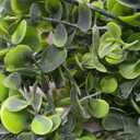 DearHouse Faux Eucalyptus Garland Plant, 2 Pack Artificial Vines Hanging Eucalyptus Leaves Greenery Garland for Wedding Backdrop Arch Wall Decor, 6 Feet/pcs UV Protected Indoor Outdoor