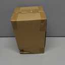 Halloween Decorations Indoor, Lighted Skull in Plastic Dome Cloche with Bat, Gothic Decor Cute Spooky Halloween Ghost Decor for Tabletop Mantel Display