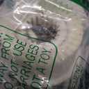 BlueStars W10721967 Washer Pulley Clutch Kit & W10006384 Drive Belt  Compatible for Whirlpool Kenmore Maytag - Replaces W10006356 W10006354 PS10057144 W10326374 AP6014712 WTW5000DW1 MVWX655DW1