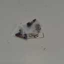 Aluminum 36mm Shocks for SCX24 Gladiator C10 JLU Deadbolt B17 Axial 1/24 RC Crawler Upgrade Parts (4-Pack) (Black & red)