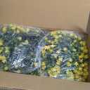 GREENRAIN Artificial Flowers Outdoor Fake Flowers for Decoration UV Resistant No Fade Faux Plastic Plants Garden Porch Window Box Dcor (6 Bundles, 2#Yellow)