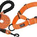 haapaw 2 Packs Martingale Dog Collar with Quick Release Buckle Reflective Dog Training Collars for Small Medium Large Dogs