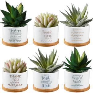 Unittype 6 Pcs Teacher Appreciation Gift Thank You Ceramic Succulent Mini Planter with Tray Office Desk Decor CNA Week Gifts for Employee Volunteer Teacher Nurse, Plants Not Included