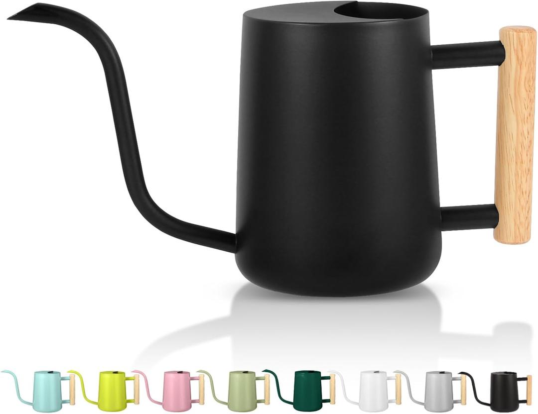 GUKJOB Plant Watering Can,35oz Metal Watering Can,Stainless Steel Indoor Plants with Long Curved Spout,Small Bonsai Outdoor Garden Modern Decorative(Black)