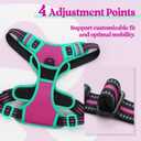 rabbitgoo Dog Harness No Pull with 2 Leash Clips, Adjustable Soft Padded, Reflective Oxford No Choke Pet Vest with Easy Control Handle for Large Dogs, Hot Pink & Turquoise, M
