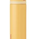 Owala Disney Princess FreeSip Insulated Stainless Steel Water Bottle with Straw for Sports and Travel, BPA-Free Sports Water Bottle, 24 oz, Belle