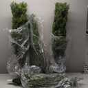 Two 5 Foot Outdoor Artificial Cedar Topiary Trees Uv Rated Potted Plants (5ft)