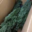Bellacat 4ft UV Resistant Artificial Topiary Trees Outdoor, 48in Faux Cedar Tree with Full & Realistic Leaves, Fake Cypress Tree for Front Door Proch Patio Deck Balcony Yard Decor 2Pack