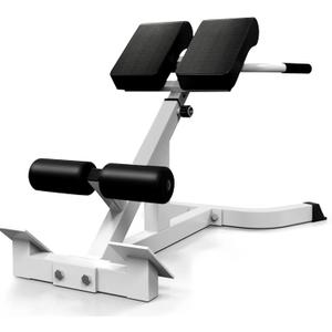 Roman Chair Back Extender - Angle & Height Dual Adjustable Hyperextension Bench for Home Gym - Adjustable Back Exercise Machine (White)