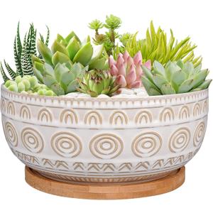 8 Inch Ceramic Succulent Planter Pot with Drainage Hole and Saucer Round Shallow Planter for Indoor Plants, White