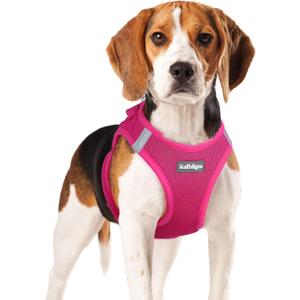 rabbitgoo Small Dog Harness, Step-in Soft Mesh Puppy Vest with Safety Buckle, Breathable Reflective Pet Harness for Small Medium Dogs, Rose Red XL (XL(Chest:20.0"-21.8"))