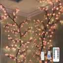 Cherry Blossom Tree Branch Lights for Wall,Cherry Enchanted Willow Vine Lights,with 48 LED and 8 Lighting Modes,Remote Timer,for Bedroom Wall Doors Windows Wedding Christmas Holiday (47inch)