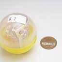 Gacha Capsule Toy 3 Pack