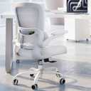 Office Chair - Ergonomic Desk Chair with Adjustable Lumbar Support, Mesh Computer Chair, Executive Chair for Home Office Comfortable Lumbar Support (White White), Pack of 1